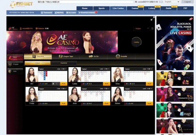 Casino – Sòng bạc