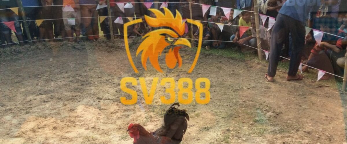 SV388