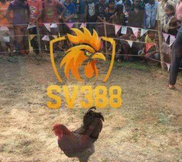 SV388