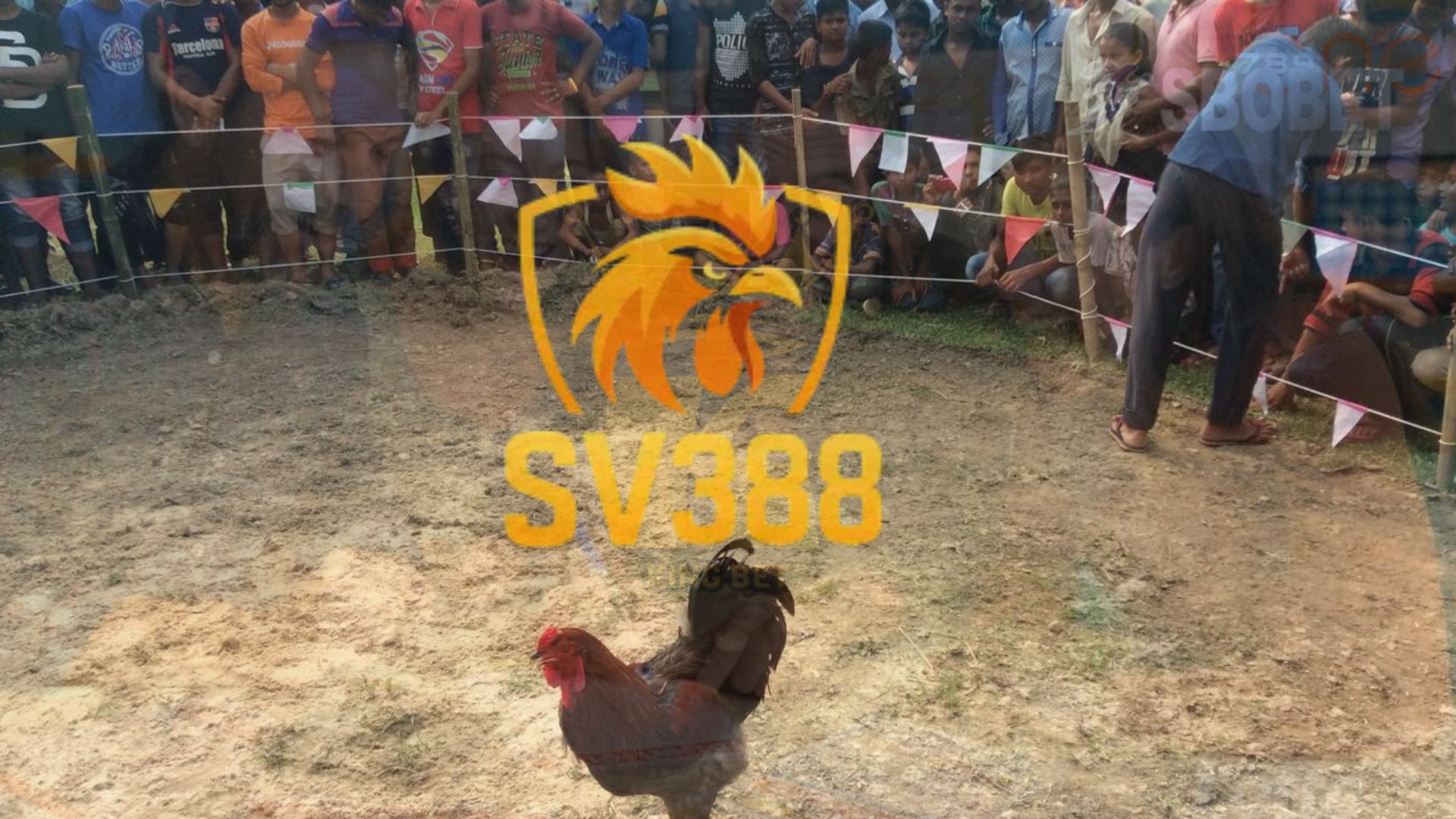 SV388