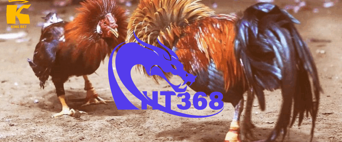 ht368