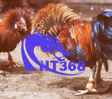 Ht368