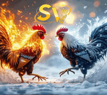 Sv388