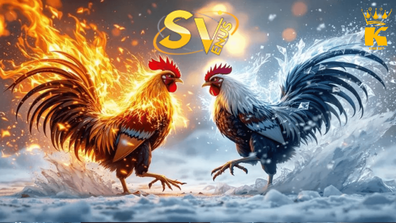 sv388