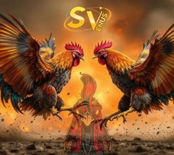 Sv388