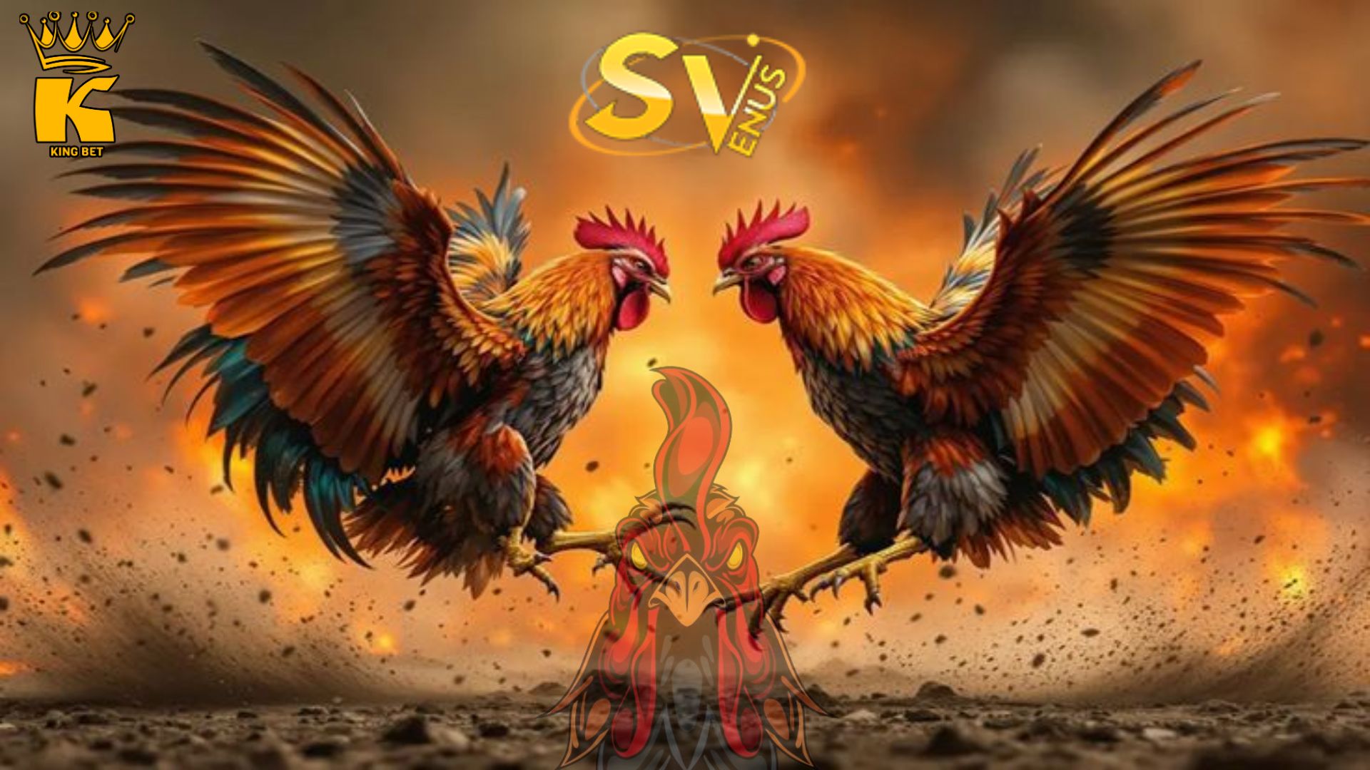 sv388